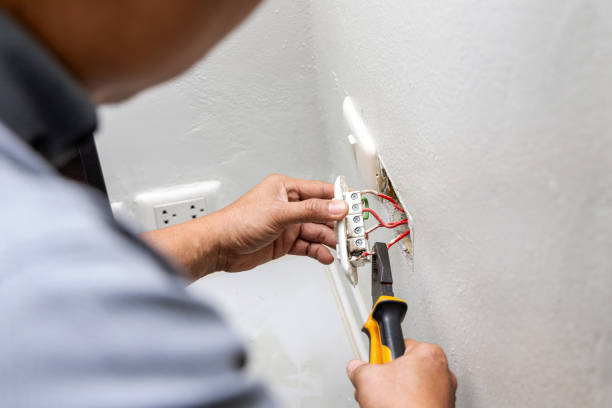 Best Electrician for Home Renovation  in Meridian, TX