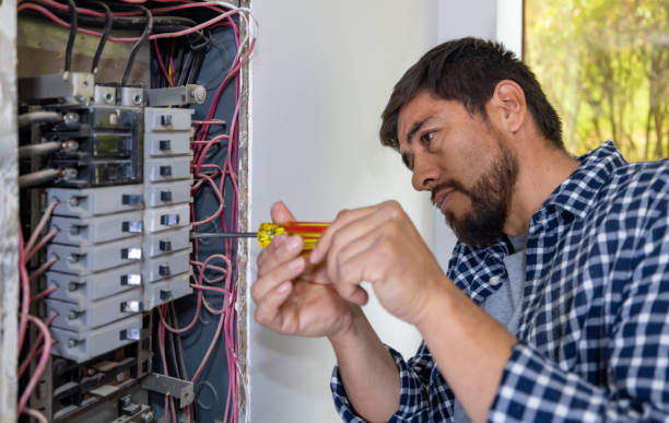 Best Electrical Upgrades for Homes  in Meridian, TX